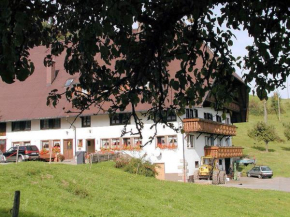 Гостиница Schanzenberghof, Хорнберг